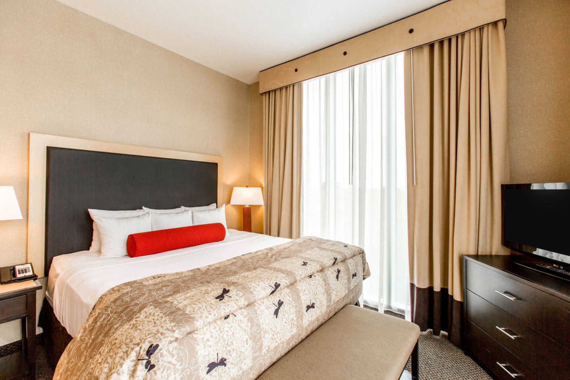 Springhill Suites By Marriott Roanoke Rom bilde