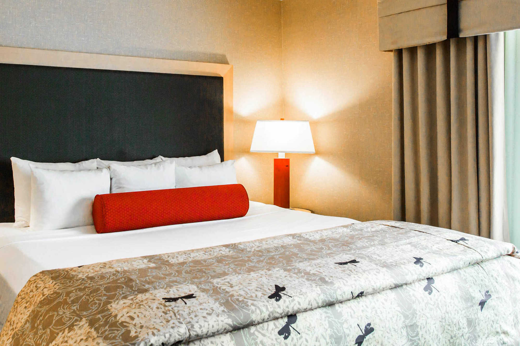 Springhill Suites By Marriott Roanoke Rom bilde