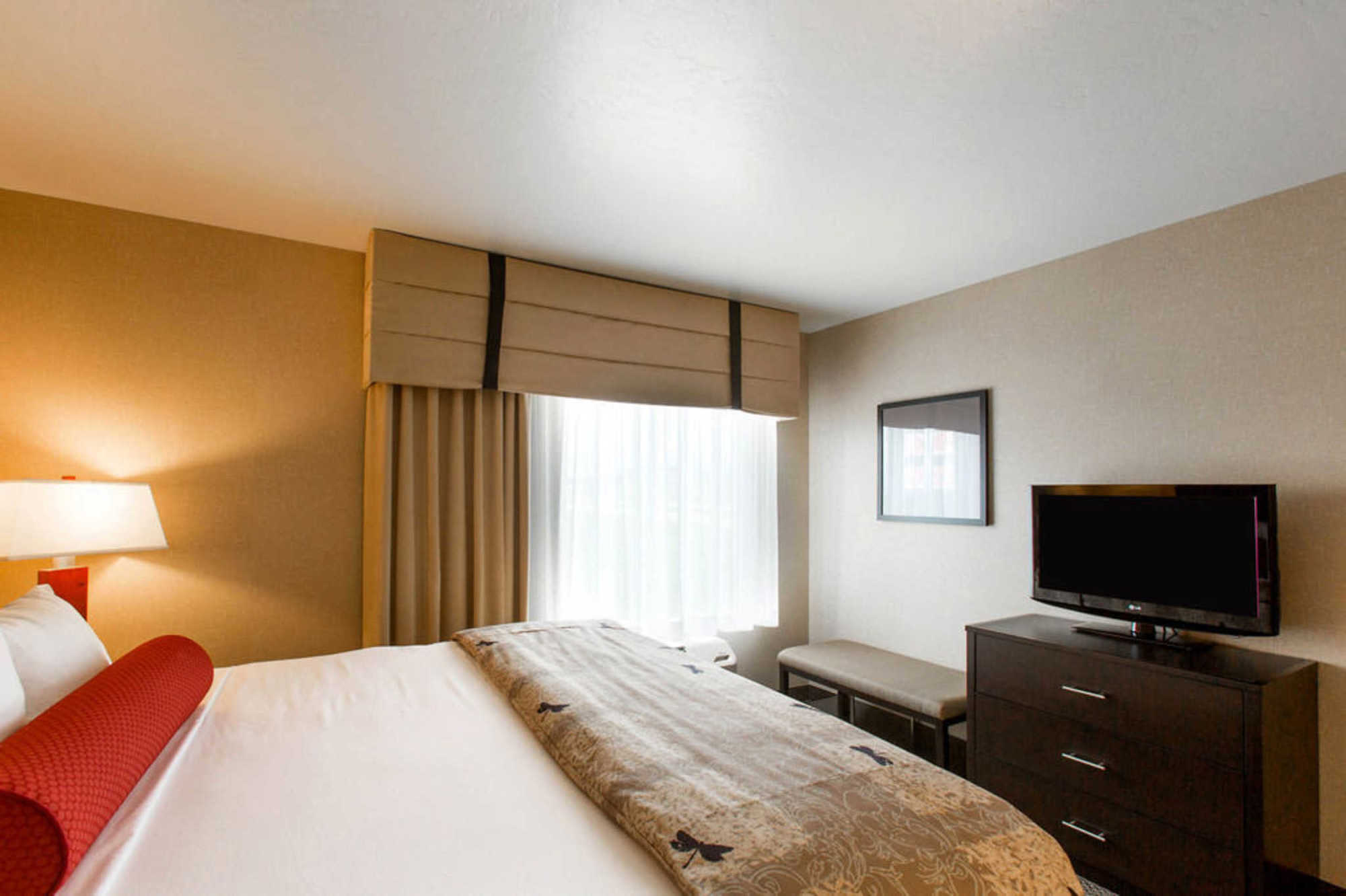 Springhill Suites By Marriott Roanoke Rom bilde