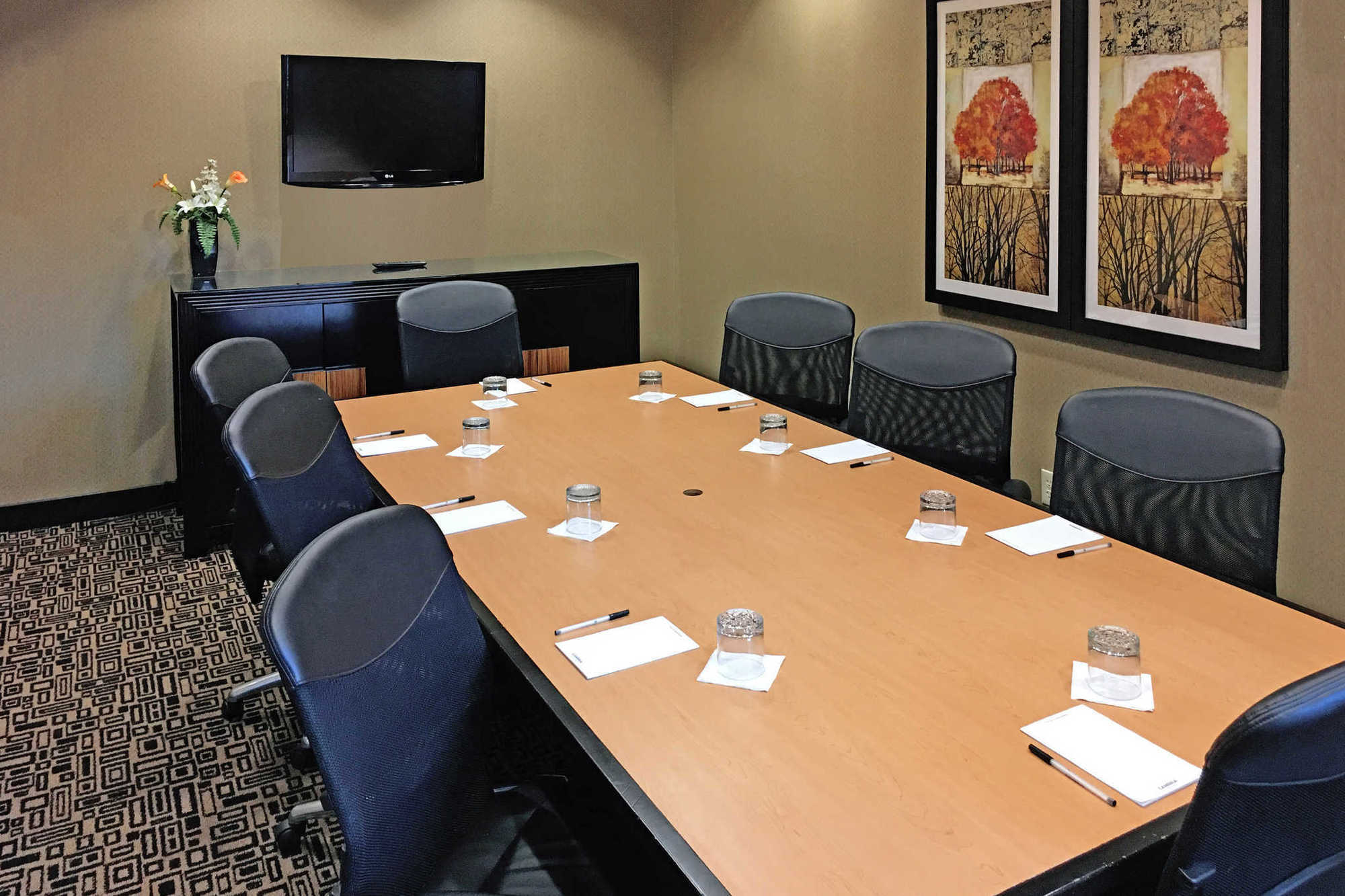 Springhill Suites By Marriott Roanoke Fasiliteter bilde