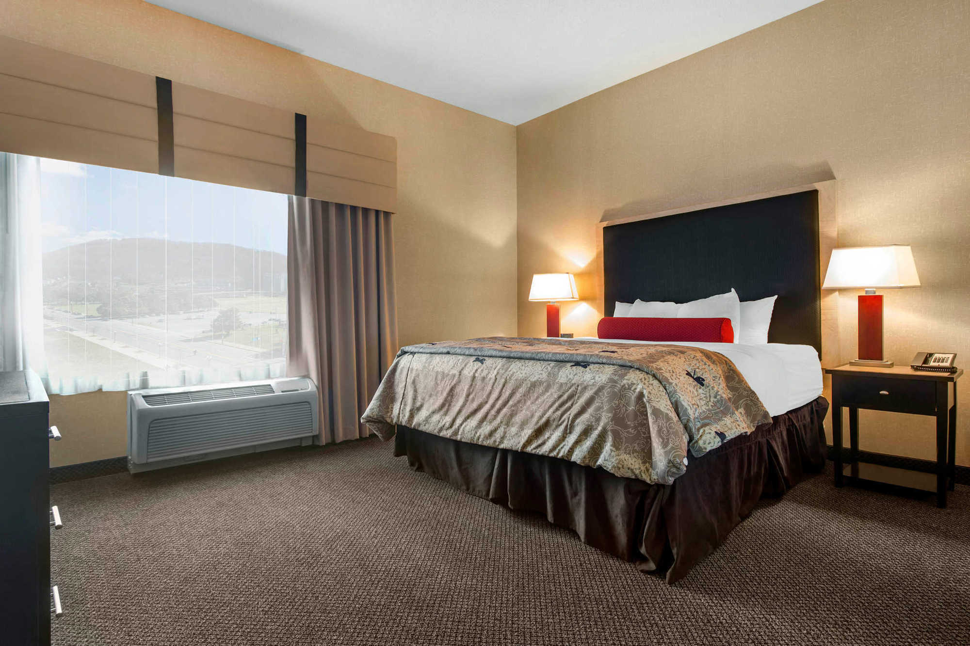 Springhill Suites By Marriott Roanoke Rom bilde