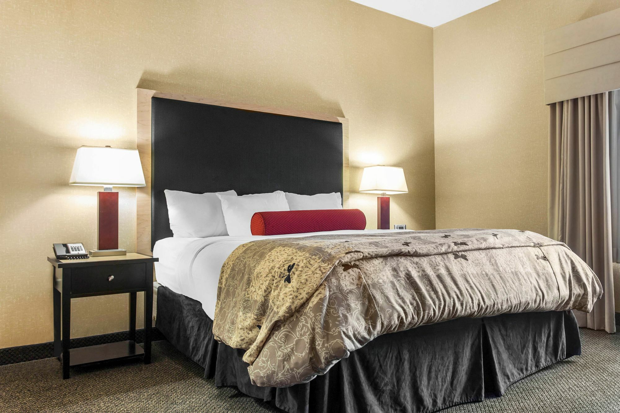 Springhill Suites By Marriott Roanoke Eksteriør bilde