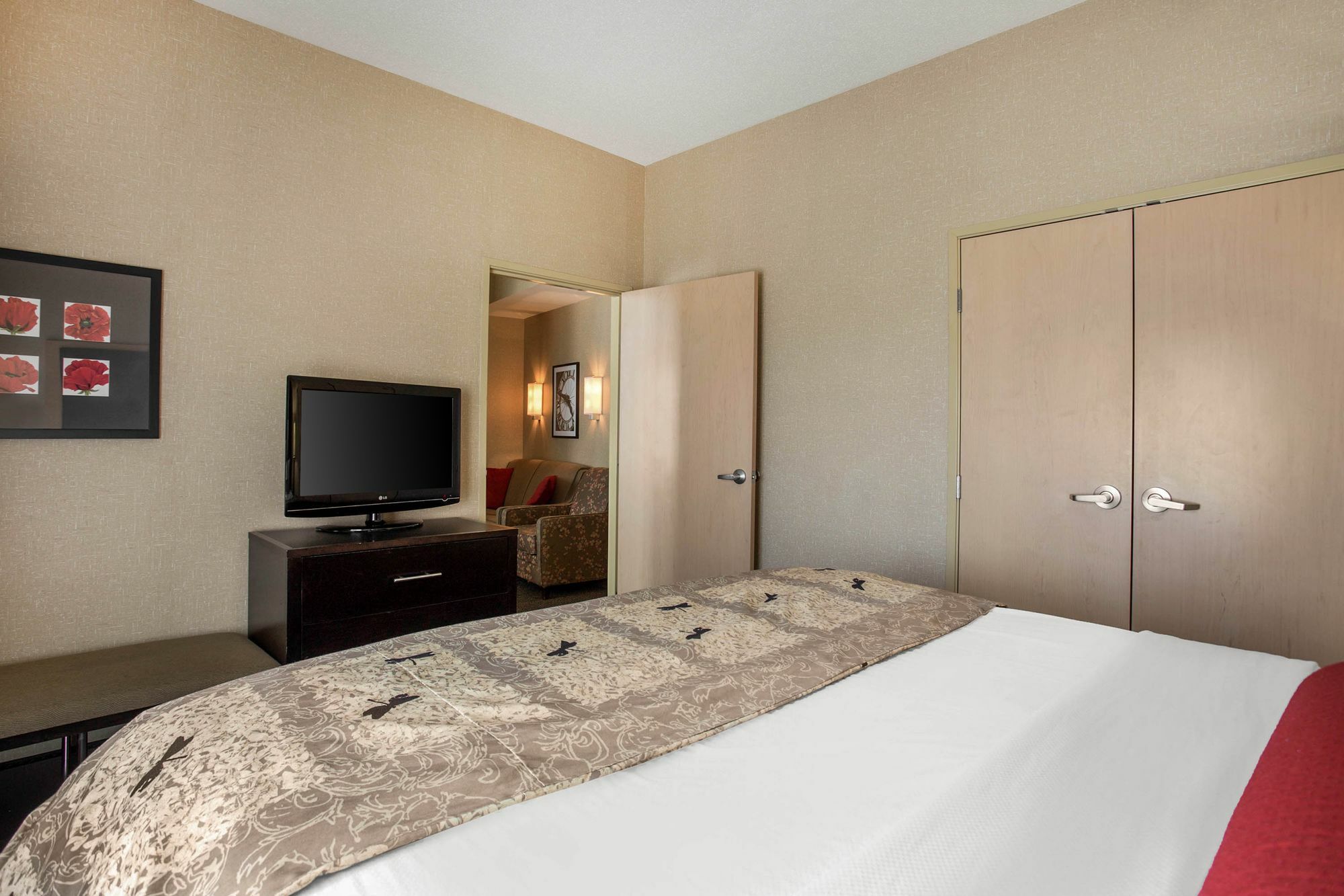 Springhill Suites By Marriott Roanoke Eksteriør bilde