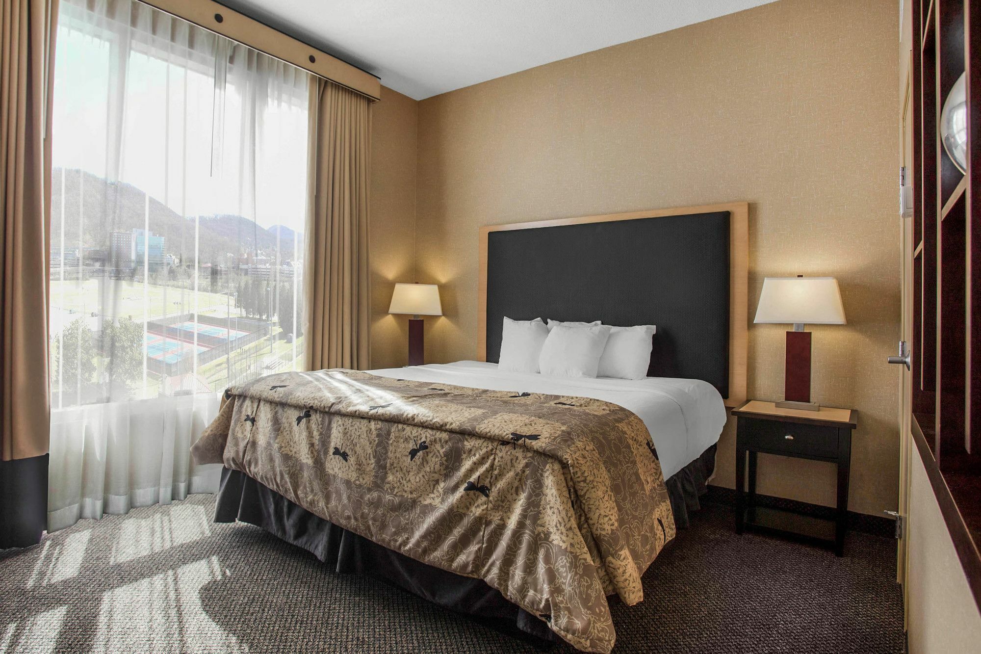 Springhill Suites By Marriott Roanoke Eksteriør bilde