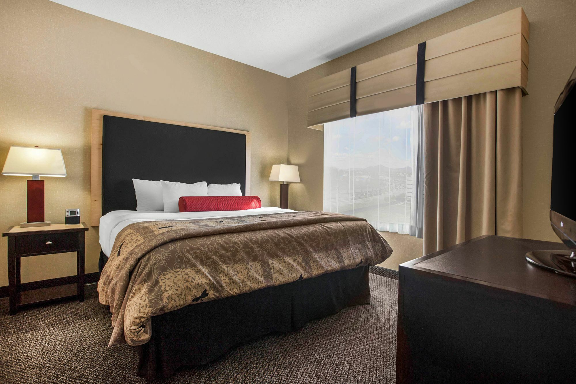 Springhill Suites By Marriott Roanoke Eksteriør bilde